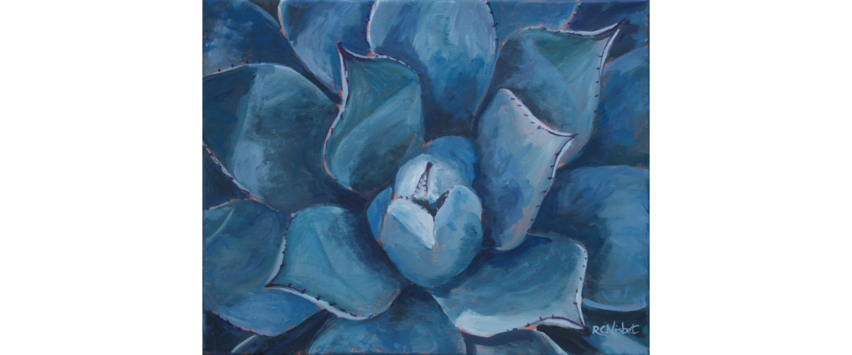 Close-up of a butterfly agave. This cactus grows as a symetrical rosette with silvery blue leaves that have reddish edges.