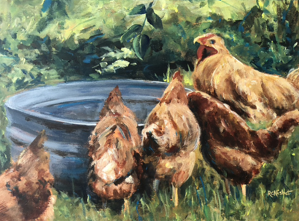Five chickens around a steel drum of water. The chickens are all facing the drum. There is a lot of greenery around them.
