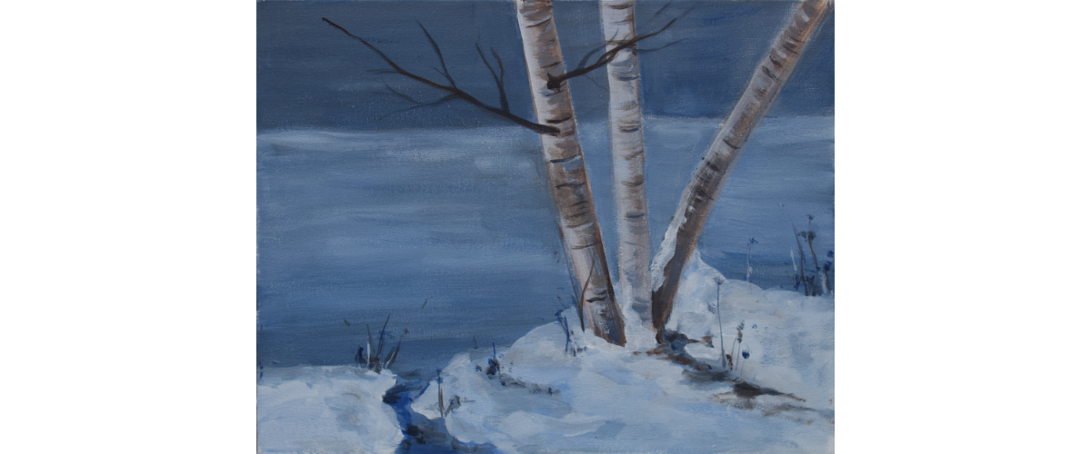 Three birch trees with snow piled around them.