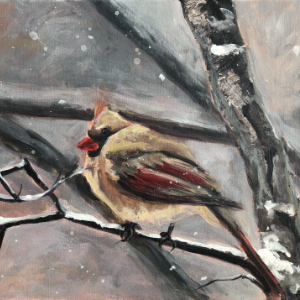 Female cardinal on a tree branch. It is snowing.
